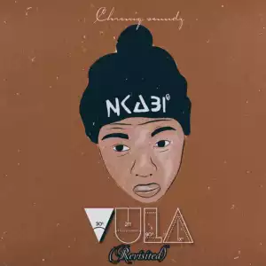 Chroniq Soundz - Vula (Revisited)